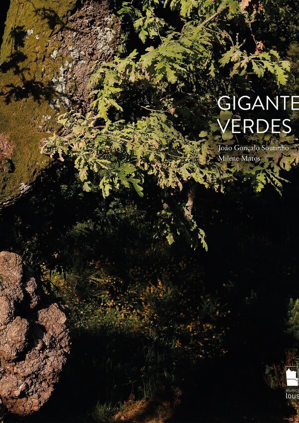gigantes_verdes_2023