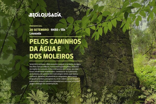 2024_09_biolousada_site