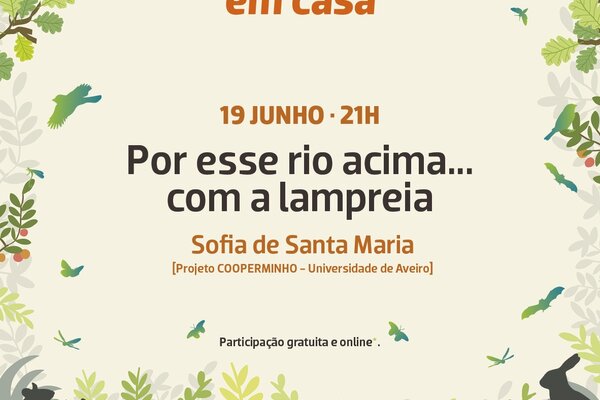 2020_06_19_biolousada_em_casa