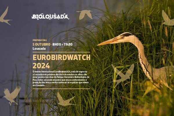 2024_10_biolousada_site