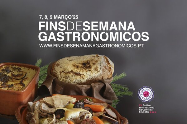 2025_festival_camelias_site_fds_gastronomico