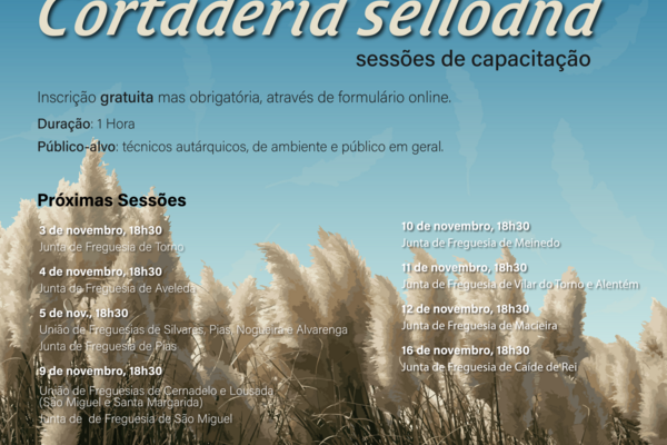 pampas