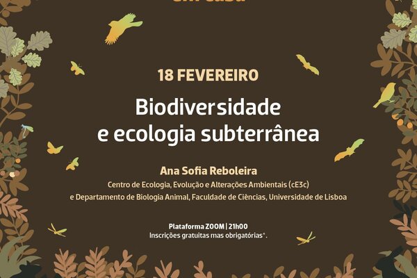 biolousada_em_casa