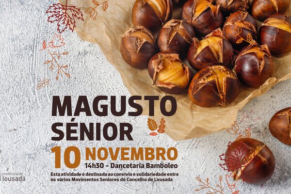 magusto_site