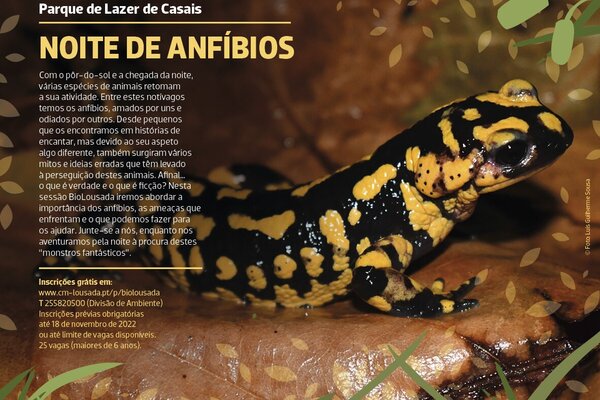 2022_11_biolousada_web