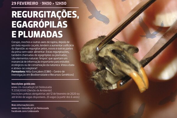 2020_02_biolousada_facebook