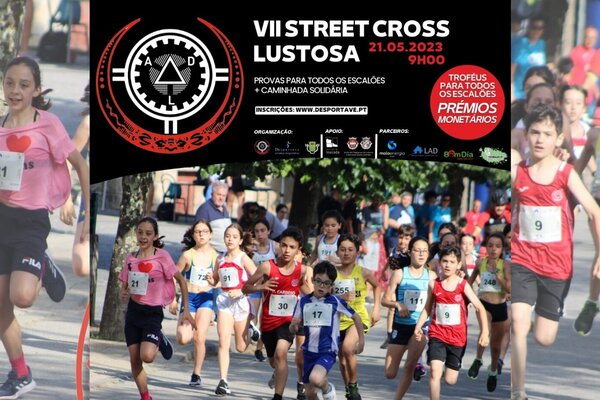 vii_street_cross_site