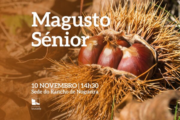 2023_magustosenior_site
