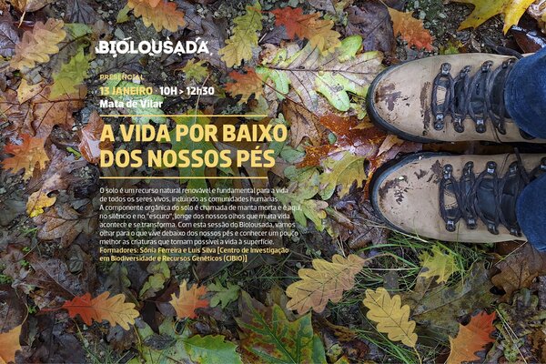 2024_01_biolousada_site