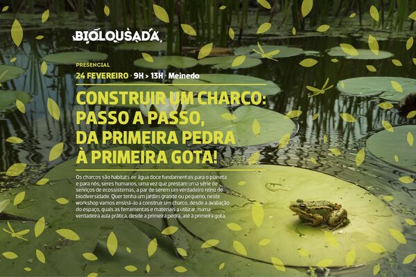 2024_02_biolousada_site
