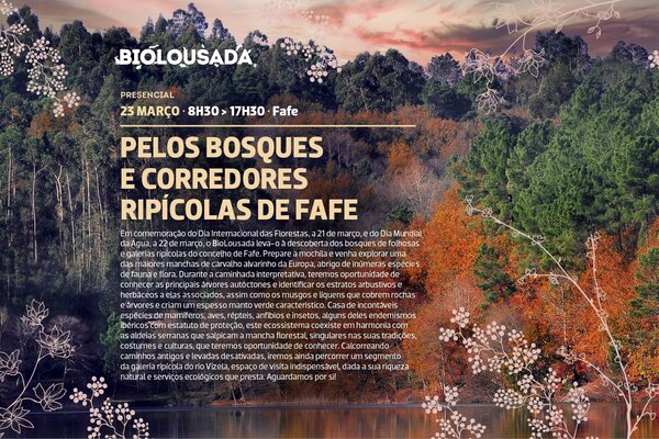 2024_03_biolousada_site