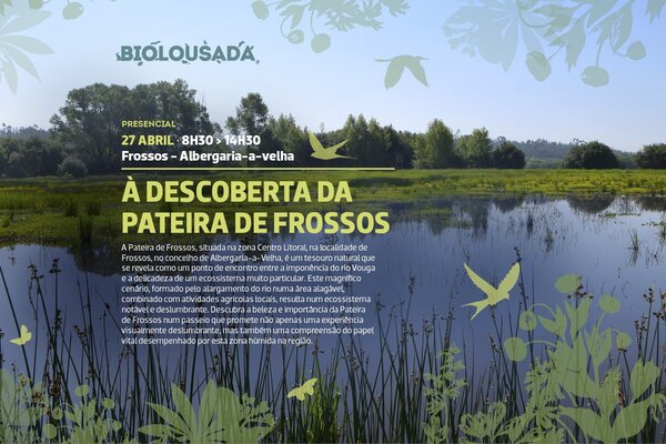 2024_04_biolousada_site