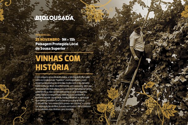 2023_11_25_biolousada_site