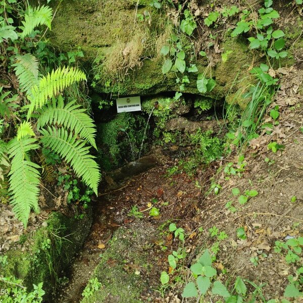 Fonte de Santo António 1