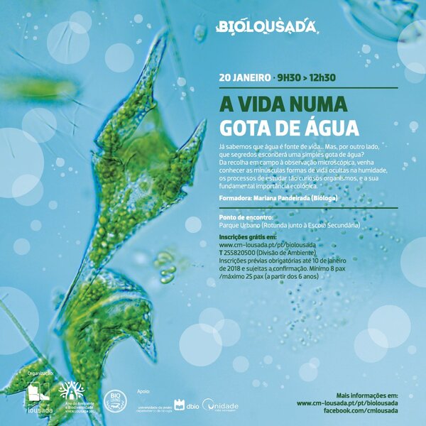 biolousada__2_