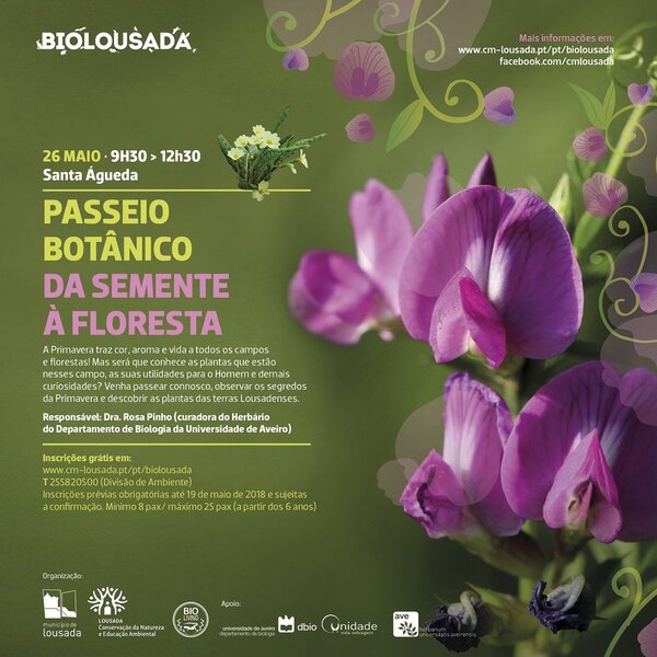 biolousada__6_