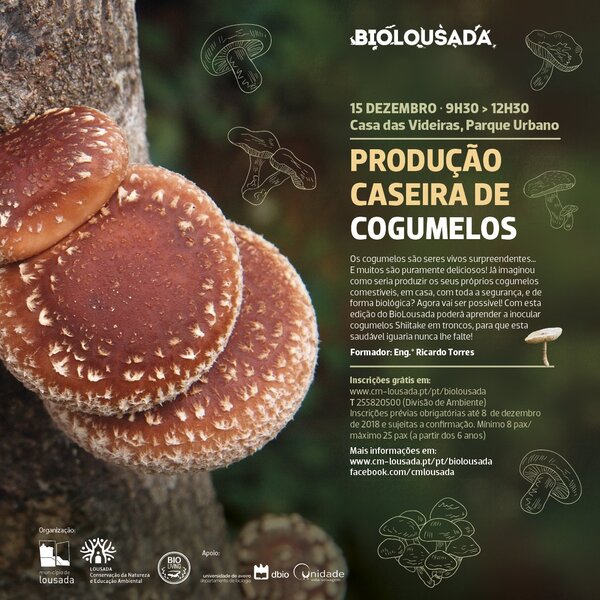 2018_12_biolousada_cogumelos_facebook