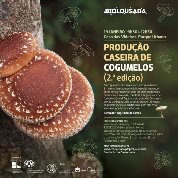 2019_01_biolousada_cogumelos_facebook