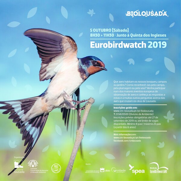 2019_10_biolousada_eurobirdwatch_com_logos