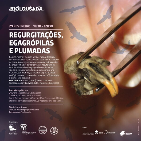 2020_02_biolousada_facebook