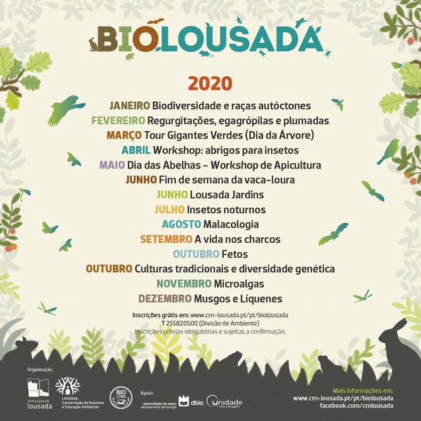 Programa Geral