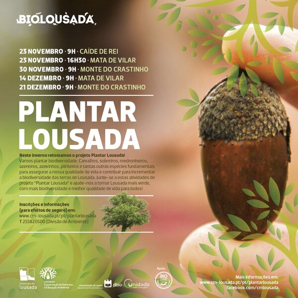 2019_11_plantar_lousada_web