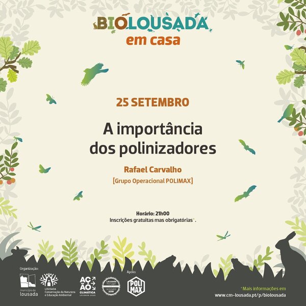 A importância dos polinizadores