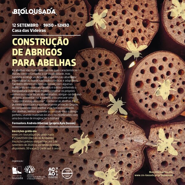 Construção de abrigos para abelhas