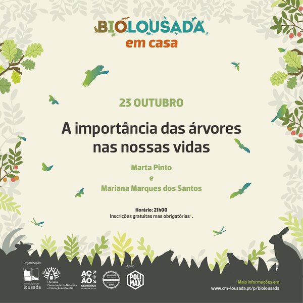 A importância das árvores nas nossas vidas