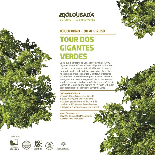 Tour dos Gigantes Verdes