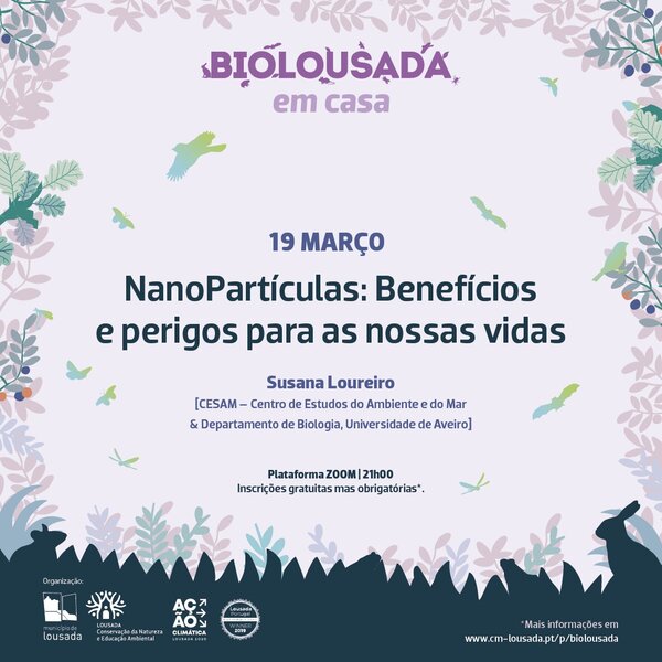 NanoPartículas Benefícios e perigos para as nossas vidas
