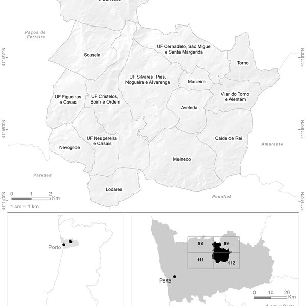 1_concelho_localizacao