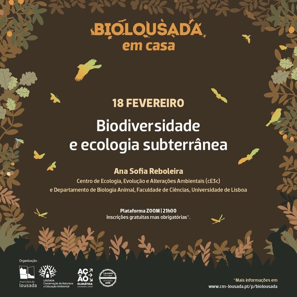 Biodiversidade e ecologia subterrânea
