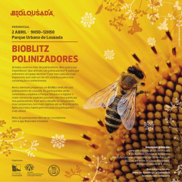 Bioblitz Polinizadores