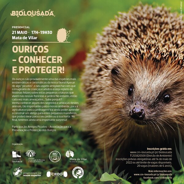 Ouriços - conhecer e proteger