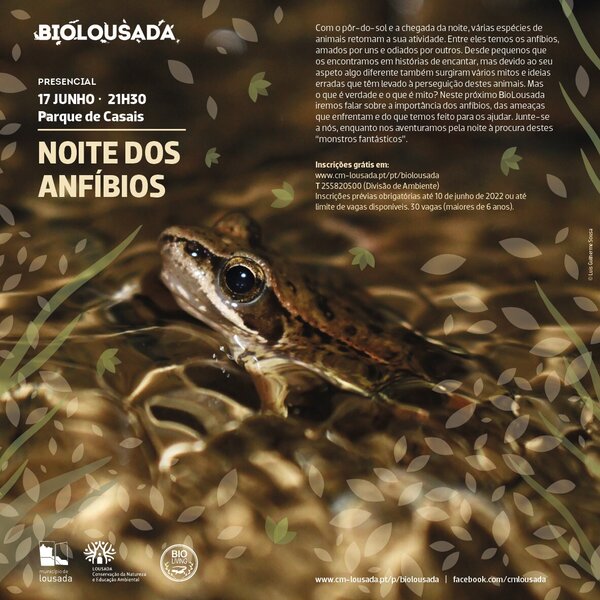 Noite dos anfíbios