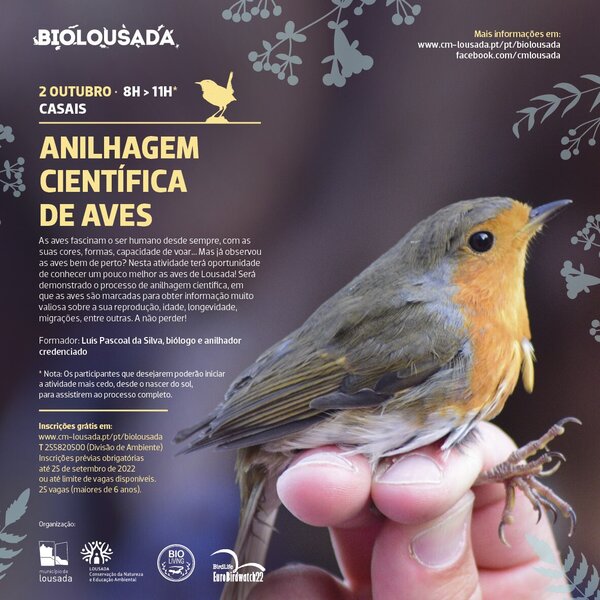 Anilhagem científica de aves