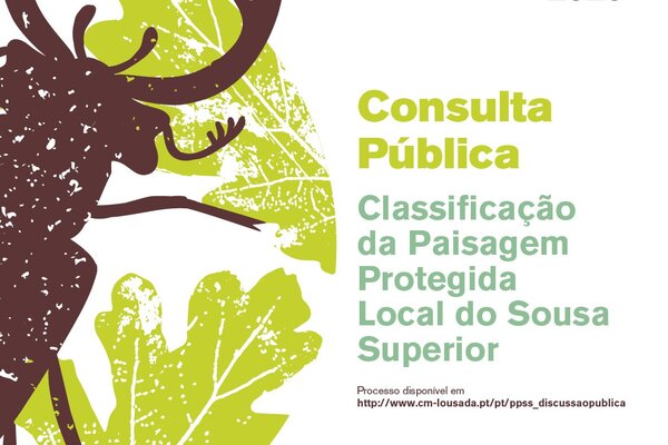 consulta_publica_classificacao_da_ppss