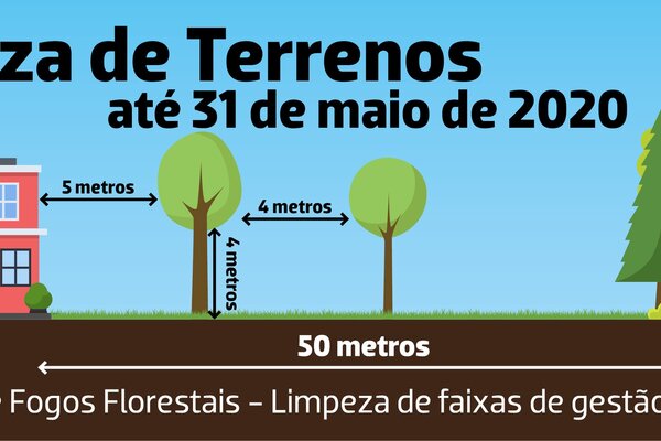 limpeza_de_terrenos