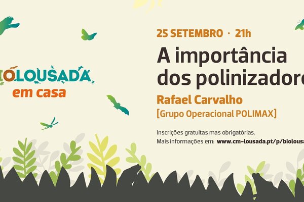 2020_09_biolousada_agenda_com_bleed