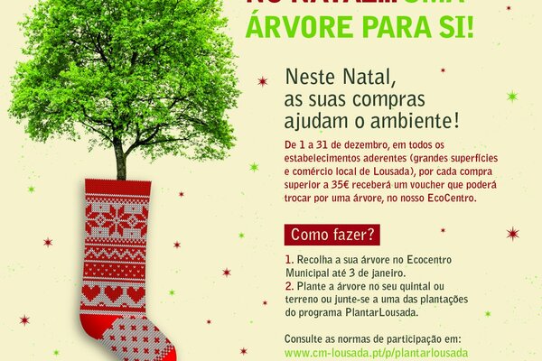 plantar_lousada_natal