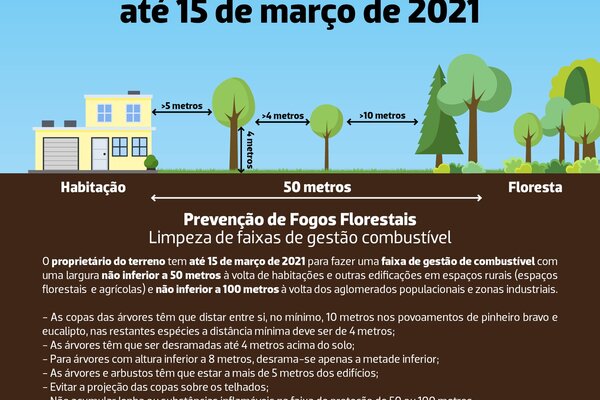 limpeza_de_terrenos
