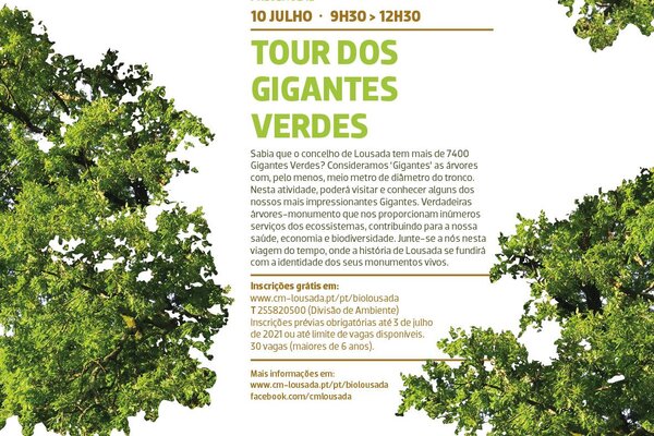 tour_gigantes_verdes