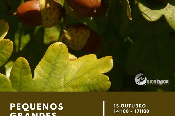 biosenior_pequenosgrandestesouros