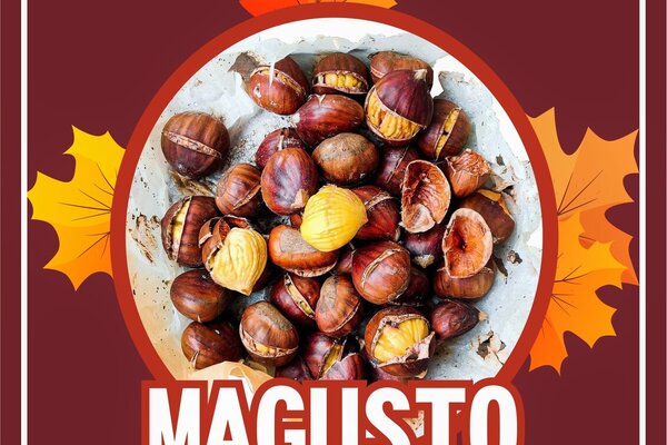 magusto_movimento_senior____2021