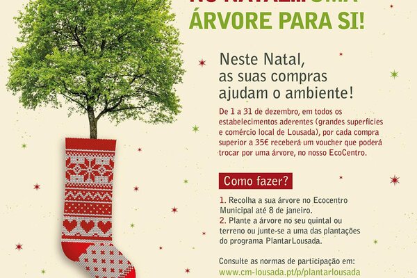 plantar_lousada_no_natal