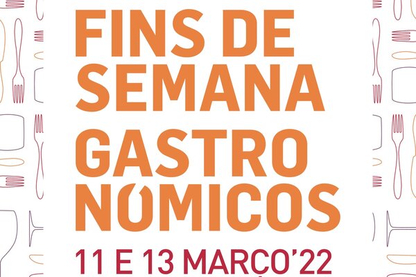 2022_fdsg_90x230