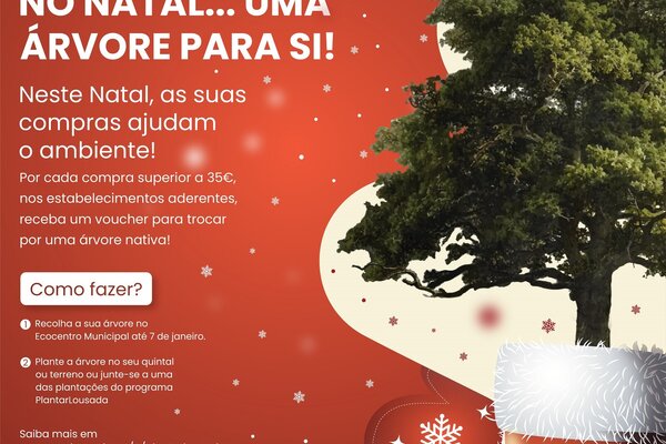 plantar_lousada_no_natal