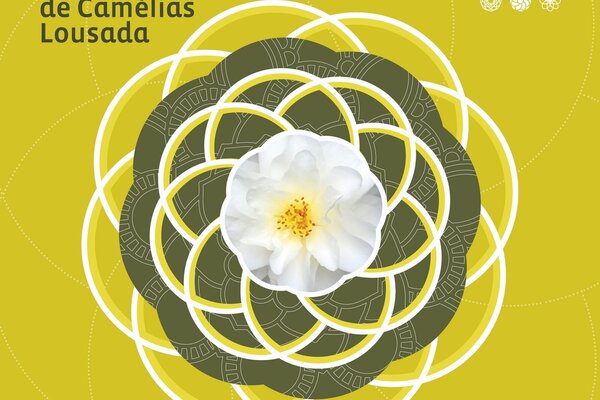 festival_internacional_de_camelias