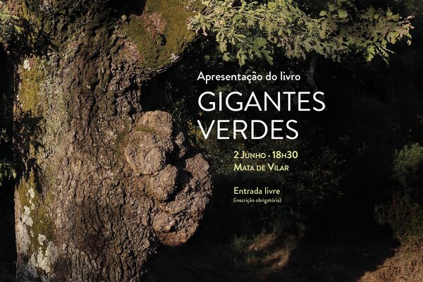 2023_05_gigantes_verdes_site